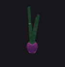 Onion